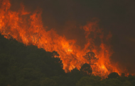 حرائق الغابات تجبر السكان على إخلاء 1100 منزل بولاية فلوريدا