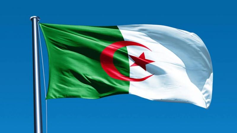 رئيس الجزائر المؤقت: الانتخابات الرئاسية تبقى الحل الديمقراطي الوحيد