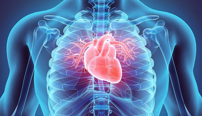 تداعيات كورونا كبيرة على القلب كما الرئتين