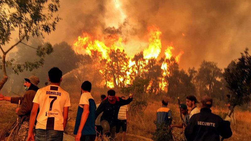 حصيلة الوفيات جراء الحرائق في 3 ولايات شرقي الجزائر ترتفع إلى 37 وفاة